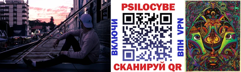 цены Бобров Галлюциногенные грибы GOLDEN TEACHER